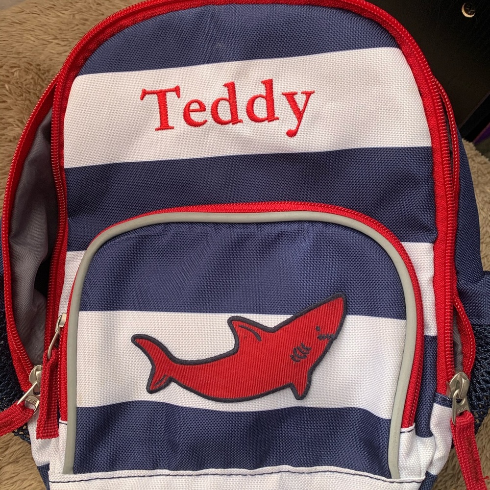 Pottery barn kids small backpack lunch cooler